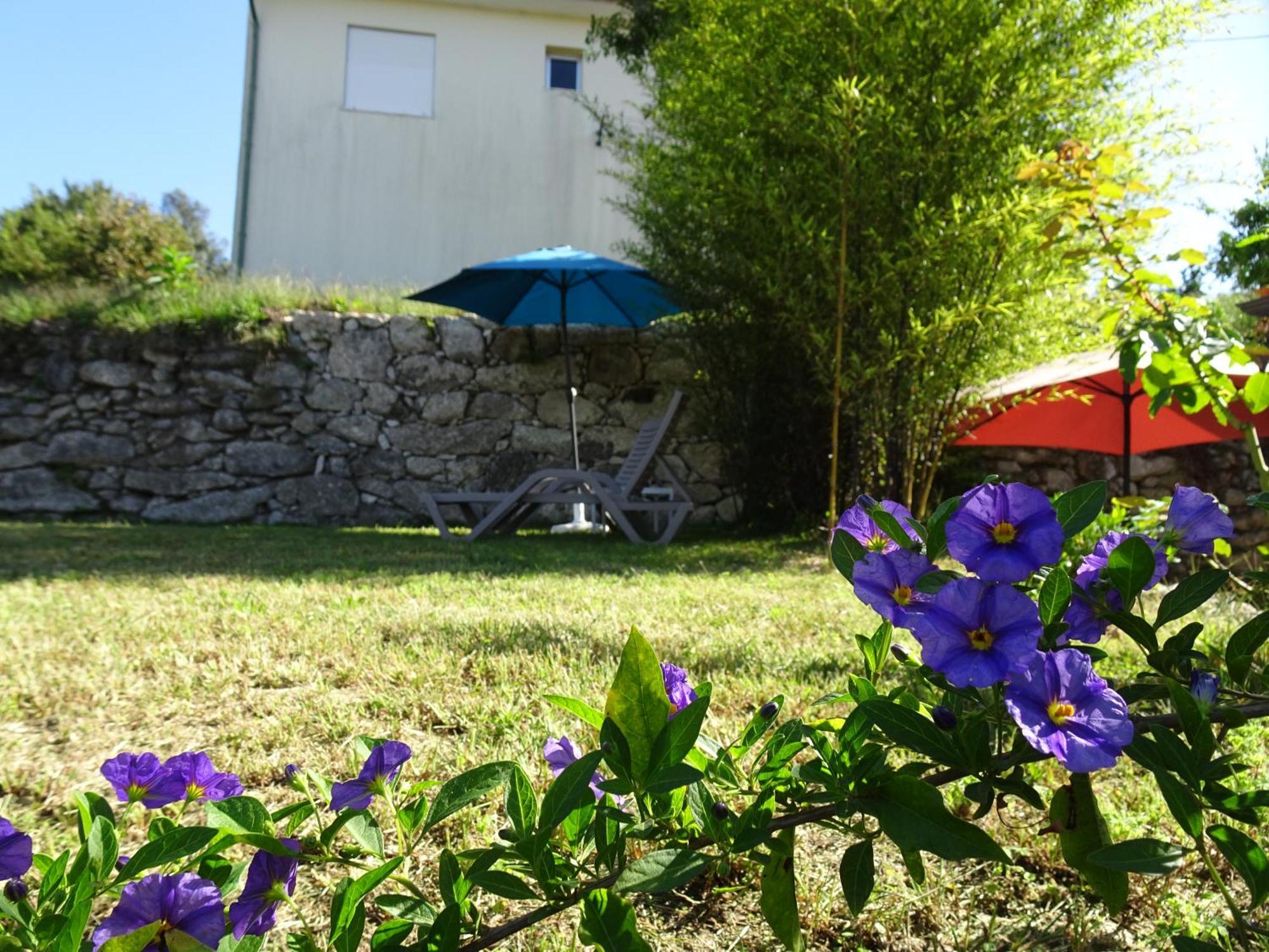 A Casa Com 2 Pereiras Bed and Breakfast Terras de Bouro Buitenkant foto